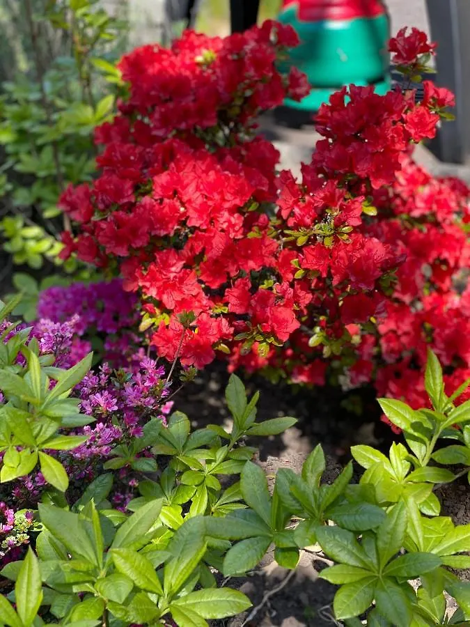 *****  Claremont House Bed and Breakfast Εδιμβούργο Ηνωμένο Βασίλειο