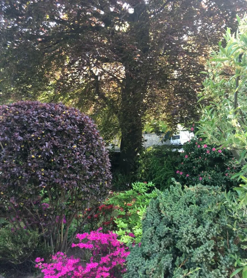 Claremont House Bed & Breakfast Edinburgh Birleşik Krallık