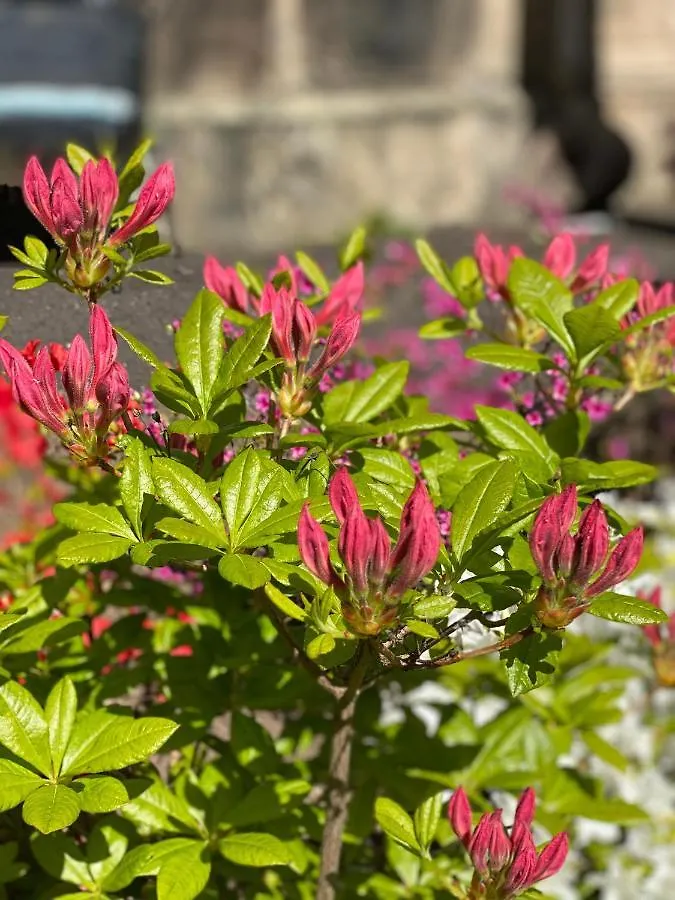 Claremont House Bed & Breakfast Edinburgh